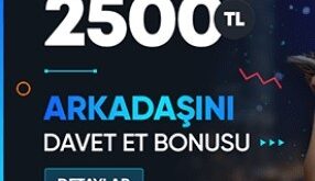 tipobet yeni adres
