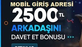 tipobet365 mobil